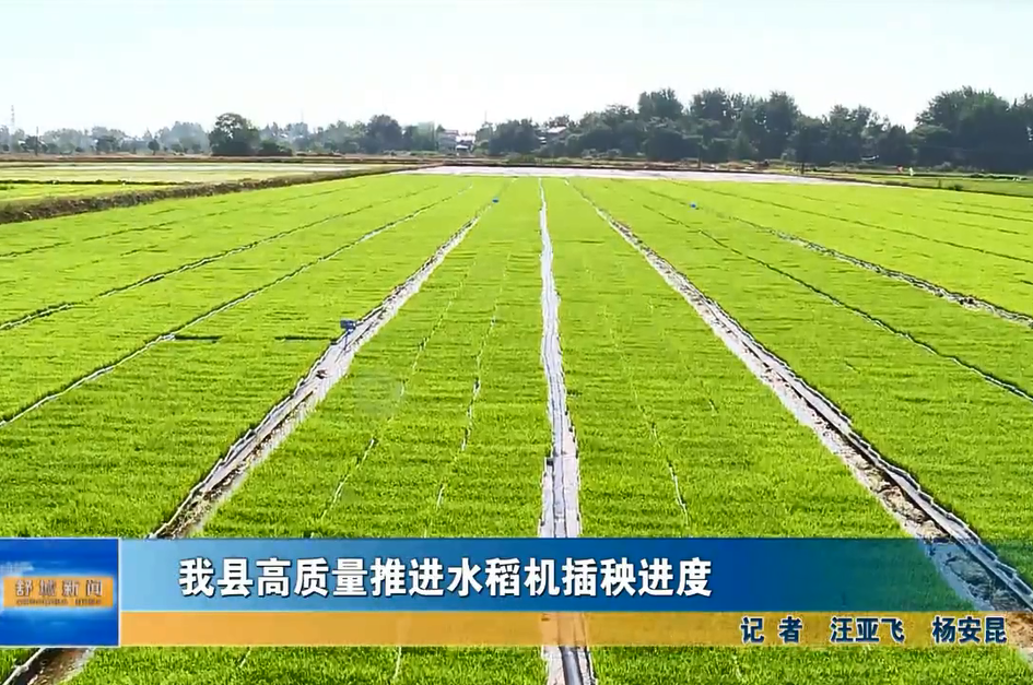 我縣高質量推進水稻機插秧進度